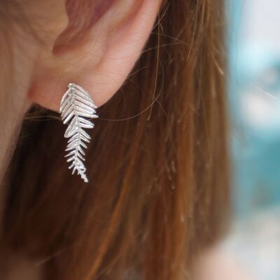 Leaf stud earrings.Real Acacia leaves in Sterling Silver 925