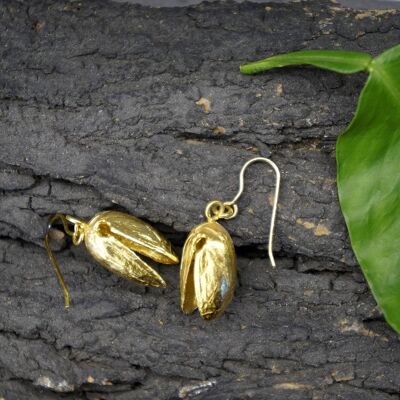 Real Pistachio Earrings in sterling silver 925 Goldplated.