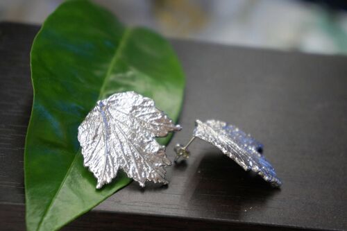 Real Bourbon Rose Plant Leaf Earrings on Sterling Silver 925