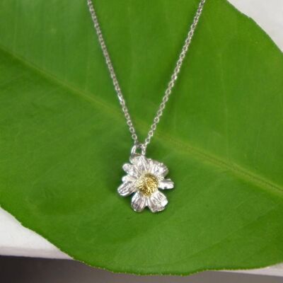 Collar minimalista de plata de ley, mini flor de manzanilla