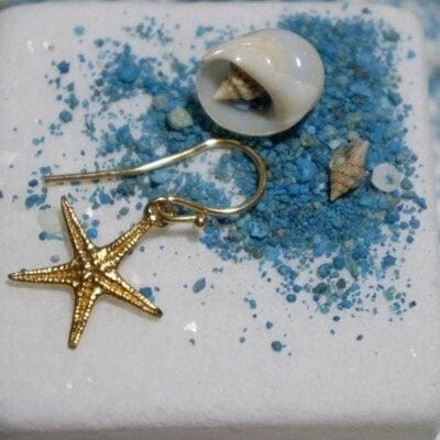Real Starfish in Sterling Silver 925, Studs or Dangle earrin