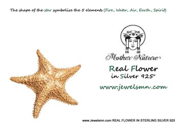Collier véritable étoile de mer sur argent sterling 925.. 4