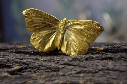 Gold on sterling silver Real Butterfly Brooch pin. Butterfly