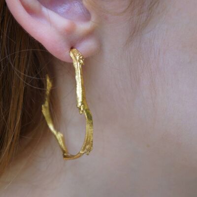 Gold Hoops Earrings For Women, REAL Olive branch earrings, N