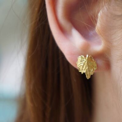 Boucles d'oreilles petites feuilles de vigne plaquées or 14 carats.
