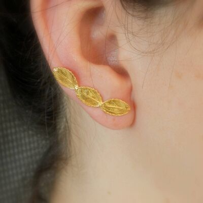Ear cuff Mismatched earrings . Real Rose leaf Ear climber x