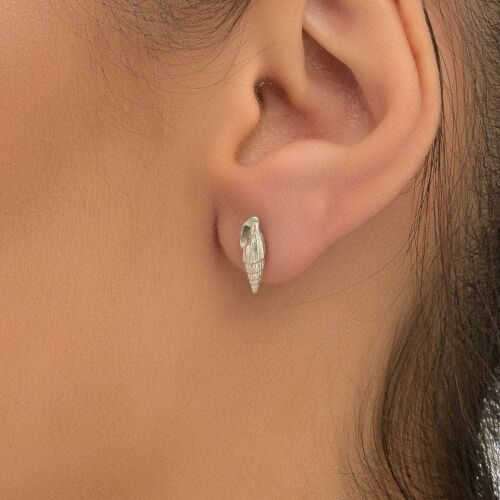 Sterling silver Real Sea Shell Stud Earrings. Symbol of evol