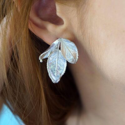 Sterling silver Rose plant leaf Earrings.