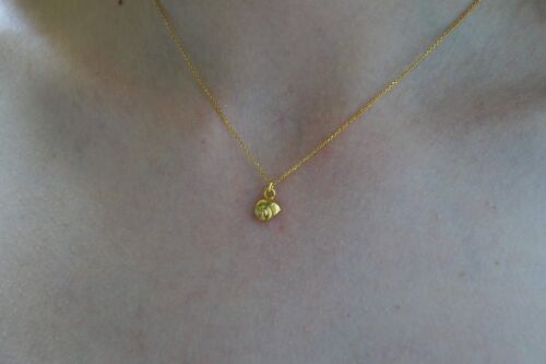 Dainty minimal Sea Shell chain Necklace on Goldplated