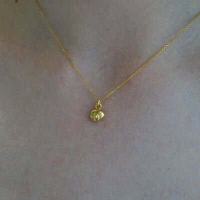 Collar de cadena de concha marina minimalista delicado en chapado en oro