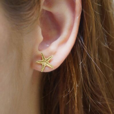 Boucles d'oreilles véritables étoiles de mer plaquées or sur argent sterling.