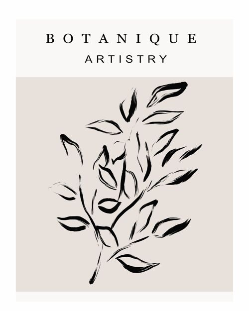 Poster Botanique Artistry