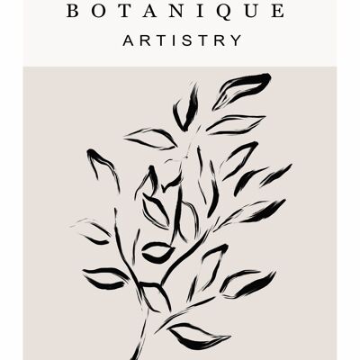 Poster Botanique Artistry