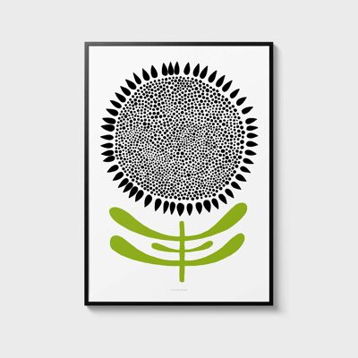 A4 Illustrazione di fiori botanici 16 | Grafica da parete