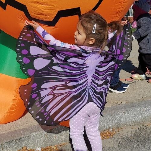 Purple burst butterfly wings + mask