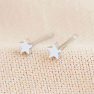Stainless steel tiny star earrings