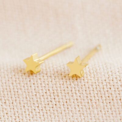 Pendientes de estrella diminuta de acero inoxidable en oro