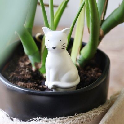 Bebedero de plantas para gatos