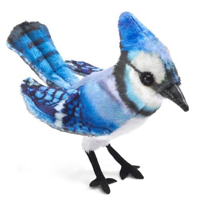 Mini Blue Jay (3)

| hand puppet