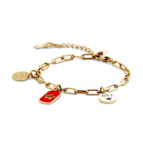 CHARMS-Gold plated with red enamel 1