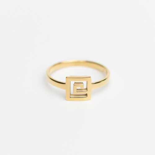 Rº6 - Stainless Steel 14K gold plated ring