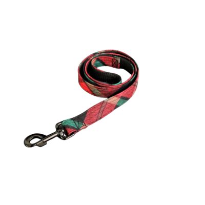 Le chien tartan conduit Williams