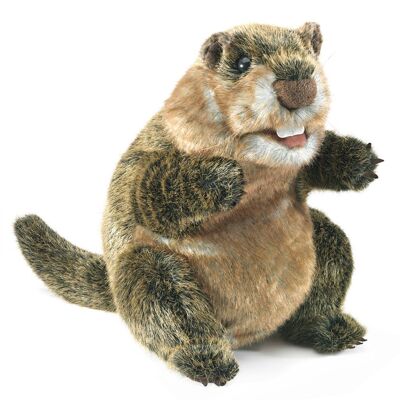 Murmeltier / Groundhog / Handpuppe 3169