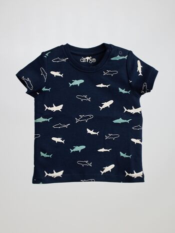PEUT ALLER T-shirts Requin 165 1