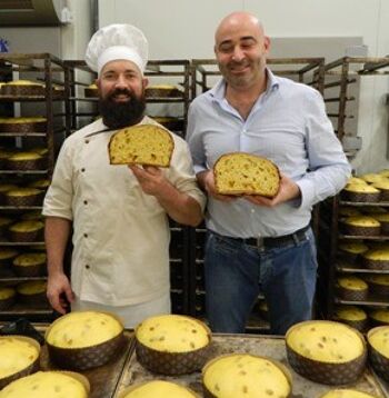 Panettone Artisanal Classique 0,5 kg 4