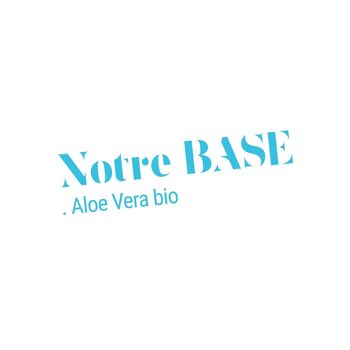 BASE Beauté Bio Shampooing douceur certifié COSMEBIO 3