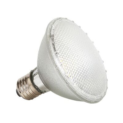 PAR38 LED Spot Lamp - 15W