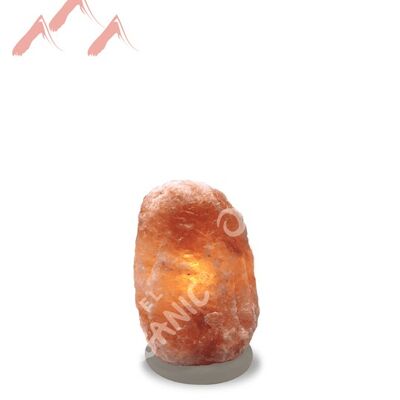 Natural Himalayan Crystal Salt Lamp - Small - Organic Paint Base