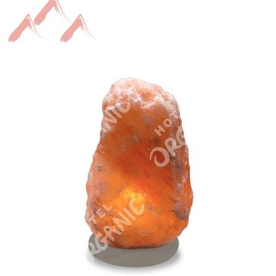 Natural Himalayan Crystal Salt Lamp - Medium - Organic Paint Base