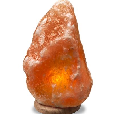 Natural Himalayan Crystal Salt Lamp - Large - Natural Wood Base