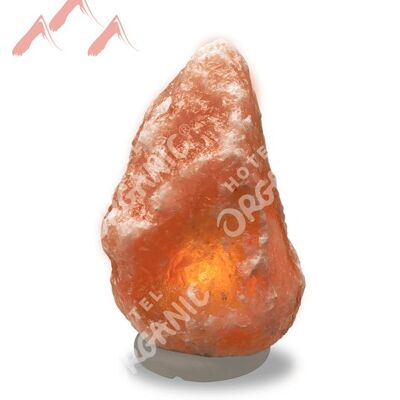 Natural Himalayan Crystal Salt Lamp - Large - Organic Paint Base