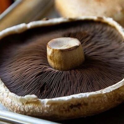 Irish Organic Portabella Mushrooms 200g