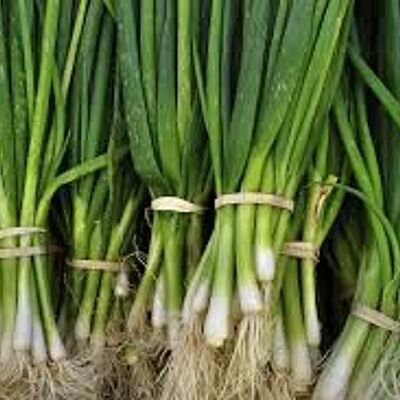 Irish Organic Spring Onion Bunch