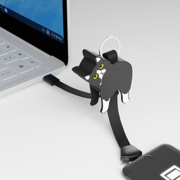 Câble de charge pour chat 4