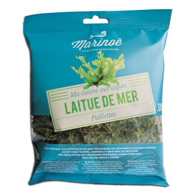 Sea lettuce