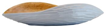 Bol en bois - bol à fruits - saladier - modèle Palm Seed - gris - S (lxlxh) 40cm x 20 x 8,8cm 2