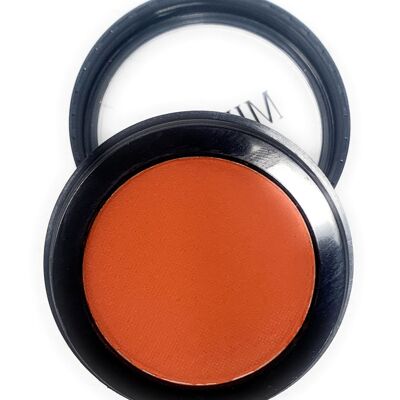 Single Pressed Orange Matte Eyeshadow In the Shade Nemo Compact Smooth Pigmented Eyeshadow Colour