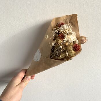 Bouquet de fleurs séchées Alba XS 3