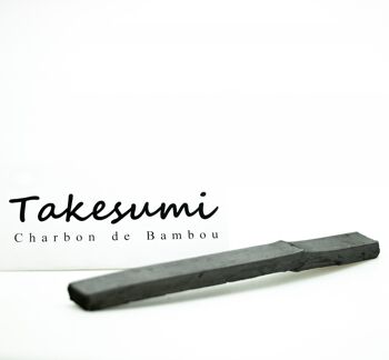 Takesumi (Charbon de bambou) bâtonnet filtre à eau 1