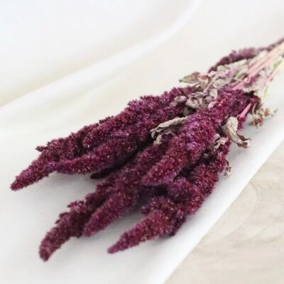 bunch of dried flowers - red amaranthus