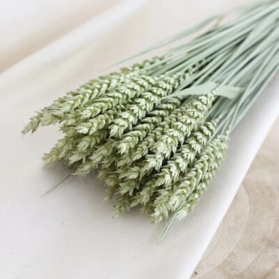 Bunch of dried flowers - natural wheat