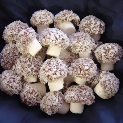 Coconut Mushrooms - Half Pound Bag