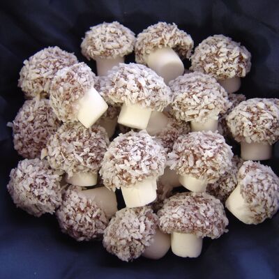 Coconut Mushrooms - Full Pound 1lb (454g)