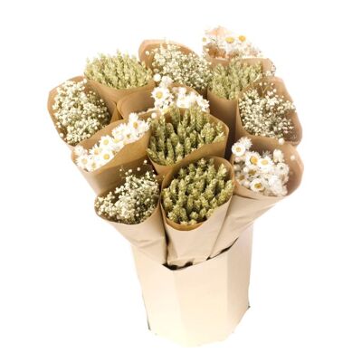 Dried flowers, 12 white bunches