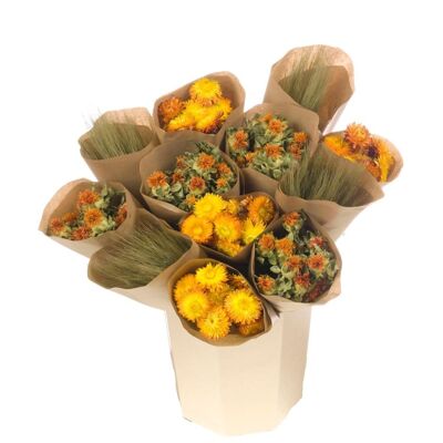 Dried flowers, 12 bunches yellow