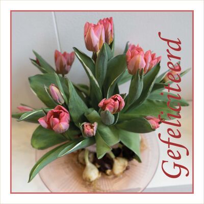 Gefeliciteerd tulpen op schaal